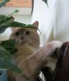 sergey060383