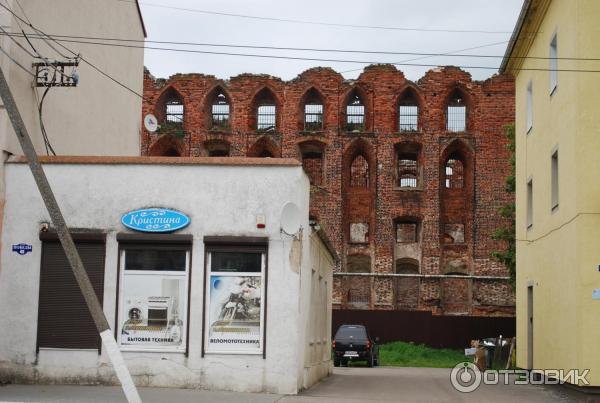 Экскурсия на сыроварню Тильзит-Рагнит (Россия, Неман) фото