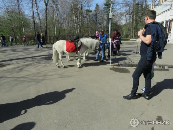 Парк культуры и отдыха Сокольники (Москва, Россия) фото