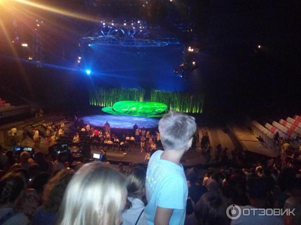 Цирковое шоу Totem Cirque Du Soleil (Россия, Сочи) фото