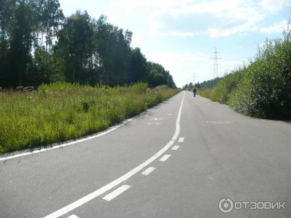 Национальный парк Лосиный Остров (Россия, Москва) фото