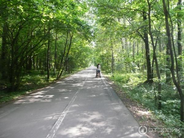 Национальный парк Лосиный Остров (Россия, Москва) фото