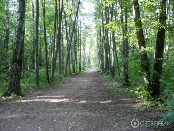 Национальный парк Лосиный Остров (Россия, Москва) фото