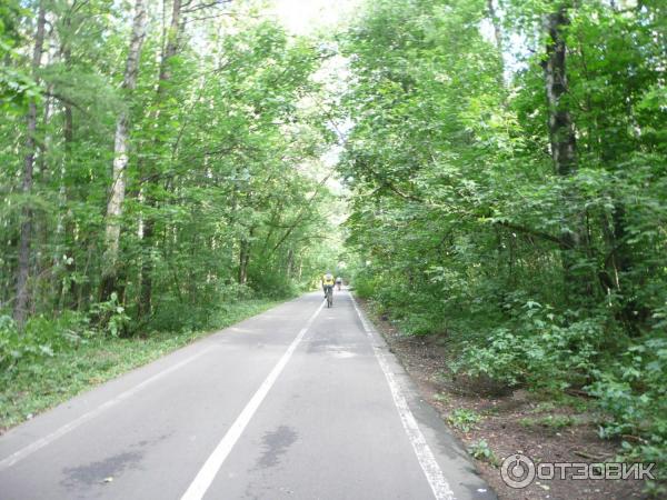 Национальный парк Лосиный Остров (Россия, Москва) фото