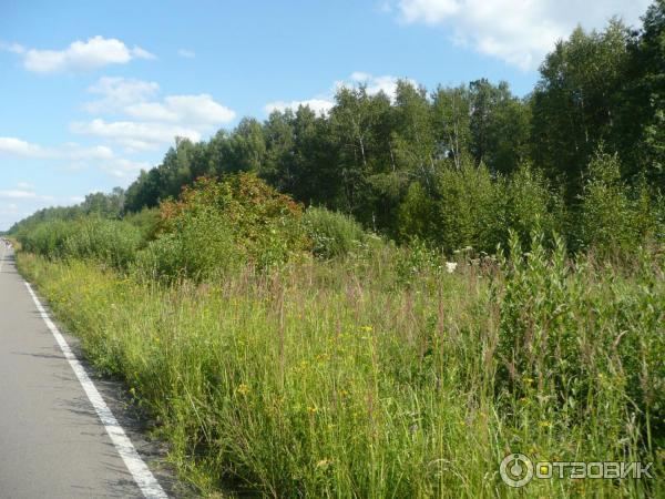 Национальный парк Лосиный Остров (Россия, Москва) фото