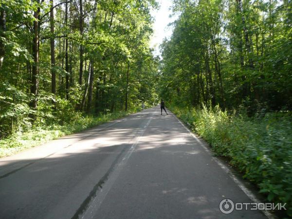 Национальный парк Лосиный Остров (Россия, Москва) фото