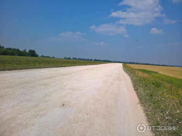 Дорога, по которой едем к переправе в Гоньбе