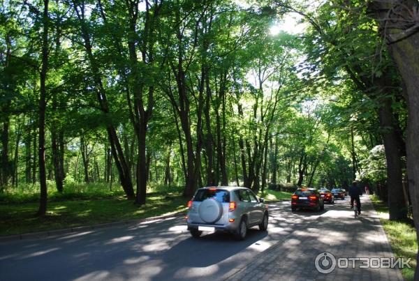 Центральный парк культуры и отдыха (Россия, Калининград) фото