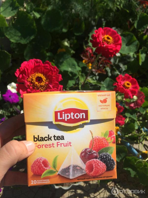 Чай Lipton Forest Fruit фото