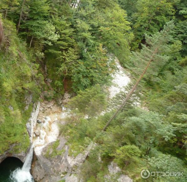 Экскурсия в Замок Нойшванштайн (Германия, Швангау) фото