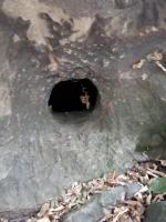 Дольмен в Джубге (Россия, Краснодарский край) фото