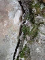 Дольмен в Джубге (Россия, Краснодарский край) фото