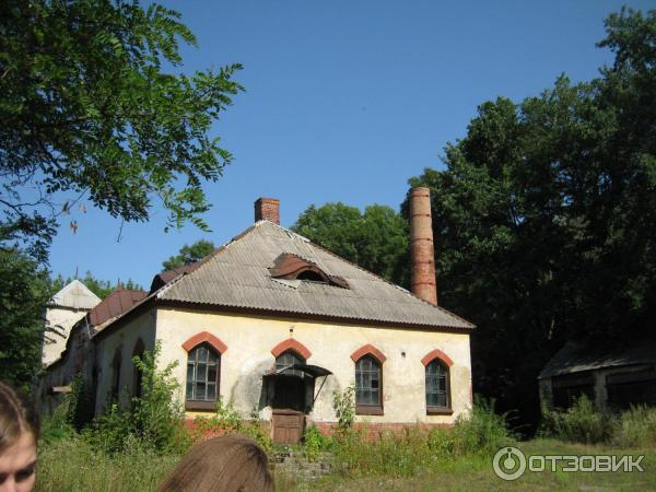 Шаровский дворцово-парковый комплекс (Украина, пгт. Шаровка) фото