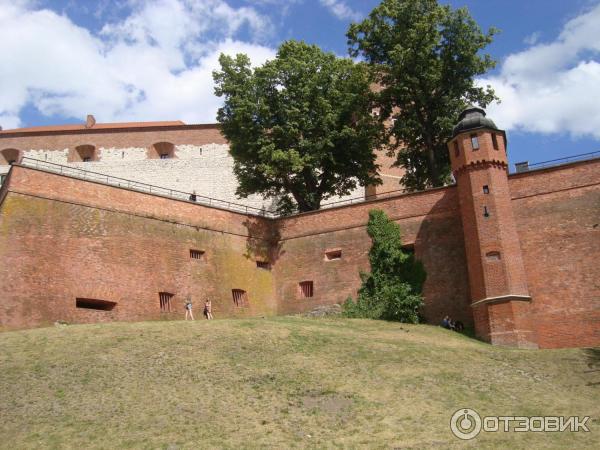 Музейный комплекс Вавельский замок (Польша, Краков) фото