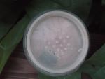 Компактная пудра для лица Sisley Transparent Loose Face Powder фото