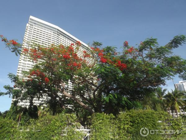 Отель Ambassador City Jomtien 3* (Тайланд, Паттайя) фото