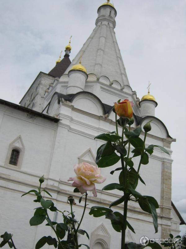 Владычный женский монастырь (Россия, Серпухов) фото