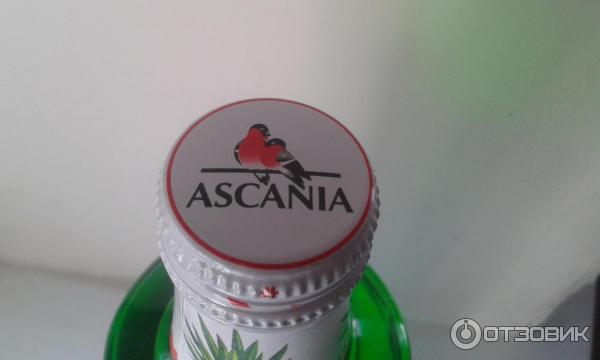 Безалкогольный сильногазированный напиток AscAnia фото