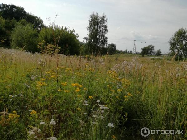 Вознесенский Печерский монастырь (Россия, Нижний Новгород) фото