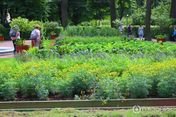 Ботанические экскурсии в Летнем саду (Россия, Санкт-Петербург)