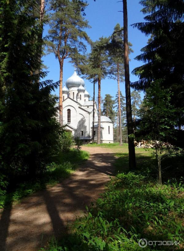 Экскурсия в Псковскую область (Россия, Псковская область) фото