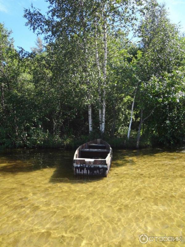 Экскурсия в Псковскую область (Россия, Псковская область) фото