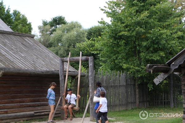 Музей Витославицы (Россия, Новгородская область) фото