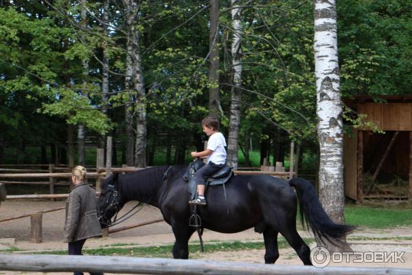 Музей Витославицы (Россия, Новгородская область) фото