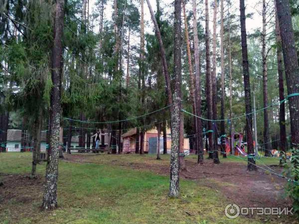 веревочный панда-парк