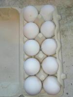 Яйца куриные Yaratelle фото