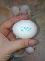 Яйца куриные Yaratelle фото