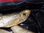 Шпроты Master Fish "По-датски" фото