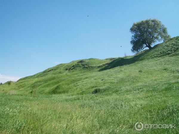 Музей Усадьба Есениных (Россия, Рязанская область, село Константиново) фото