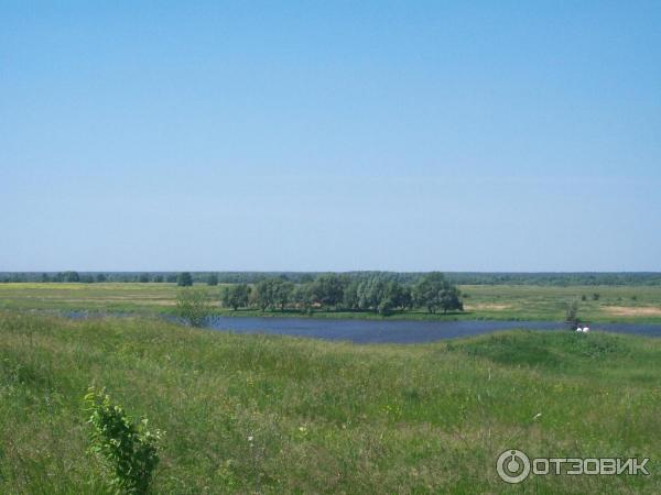 Музей Усадьба Есениных (Россия, Рязанская область, село Константиново) фото