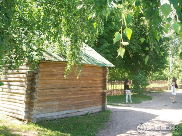 Музей Усадьба Есениных (Россия, Рязанская область, село Константиново) фото