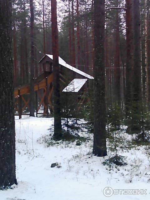 Центр отдыха Аврора (Россия, Ленинградская область) фото