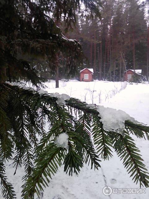 Центр отдыха Аврора (Россия, Ленинградская область) фото