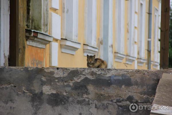 Введено-Оятский женский монастырь
