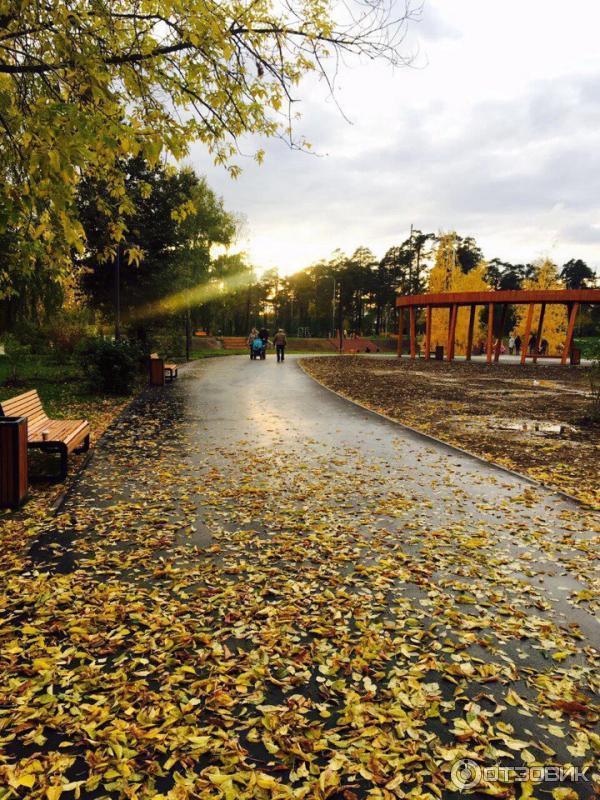 золотая осень в парке