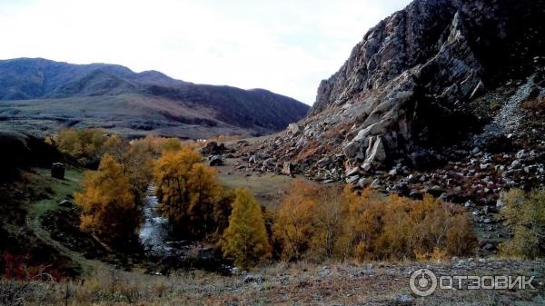 Кордон Кур-Кечу (Россия, Республика Алтай) фото