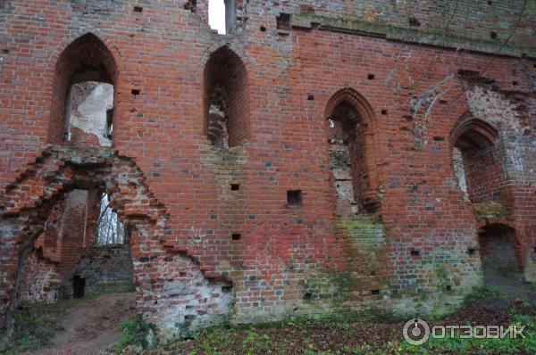 Замок Бальга (Россия, Калининградская область) фото