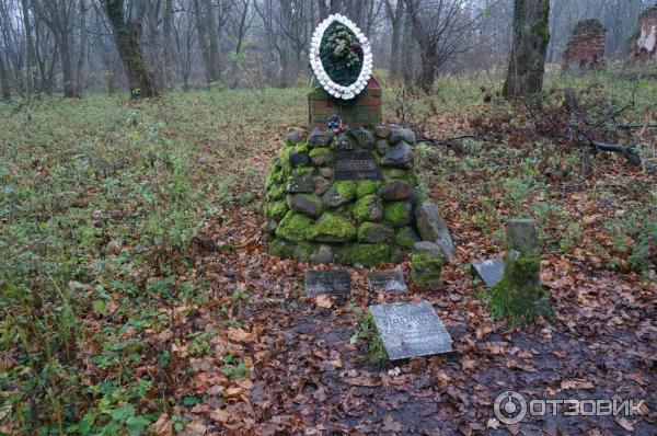 Замок Бальга (Россия, Калининградская область) фото