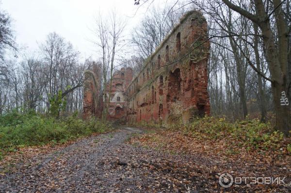 Замок Бальга (Россия, Калининградская область) фото