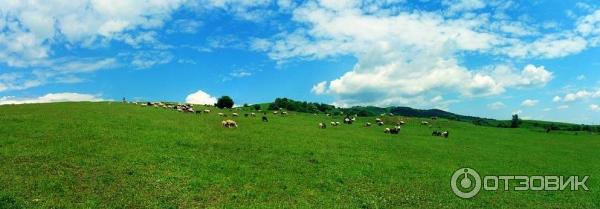 Горячие источники в с. Аушигер (Россия, Кабардино-Балкария) фото