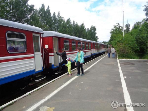 Малая Октябрьская детская железная дорога (Россия, Санкт-Петербург) фото