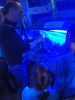 Океанариум "Морской аквариум на Чистых прудах" (Россия, Москва) фото