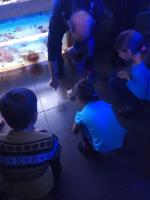 Океанариум "Морской аквариум на Чистых прудах" (Россия, Москва) фото