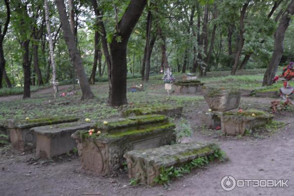 Музей-заповедник Коломенское (Россия, Москва) фото