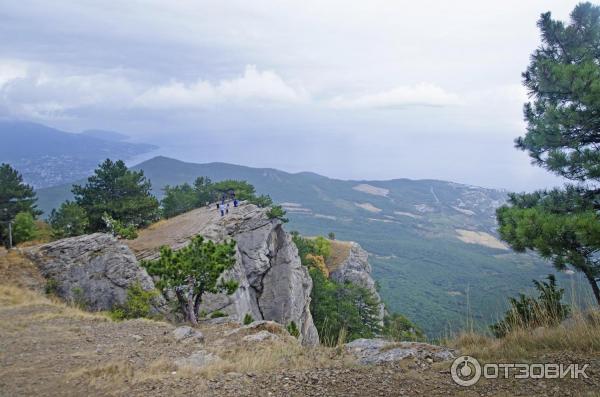 южный берег крыма