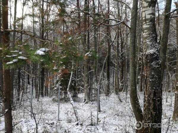 Пансионат Мечта (Россия, Нижегородская область) фото